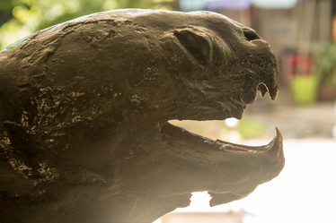 Similar image 22048601