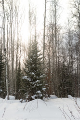 Similar image 22048610