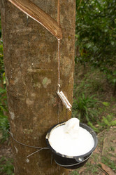 Similar image 22048612