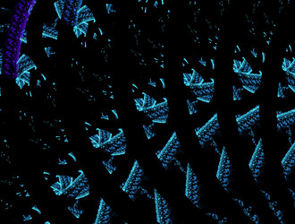 Similar image 22022177