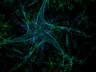 Similar image 22022567