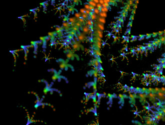 Similar image 22020099