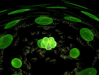 Similar image 22020216