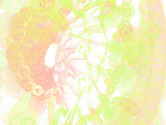 Similar image 22022711