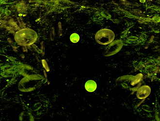 Similar image 22021963