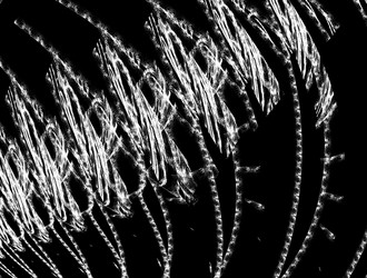 Similar image 22021735