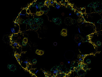 Similar image 22023621