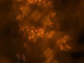 Similar image 22021754