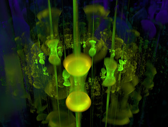 Similar image 22019879