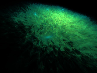 Similar image 22021404