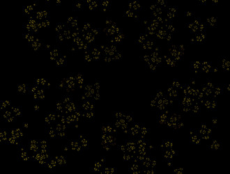 Similar image 22020219