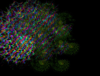 Similar image 22020997