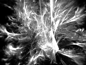 Similar image 22021414