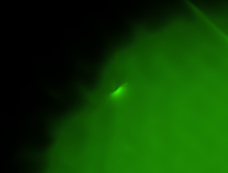 Similar image 22023623