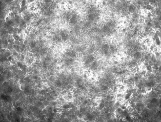 Similar image 22022603