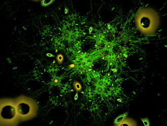 Similar image 22023174