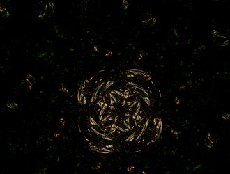 Similar image 22023177