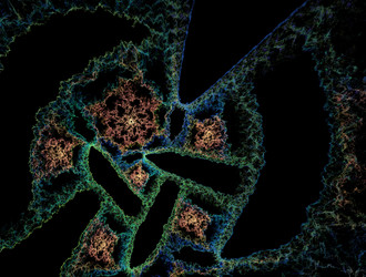 Similar image 22024039