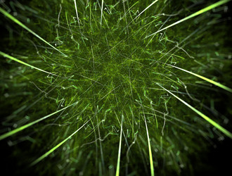 Similar image 22020115