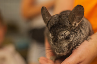 Similar image 22025754