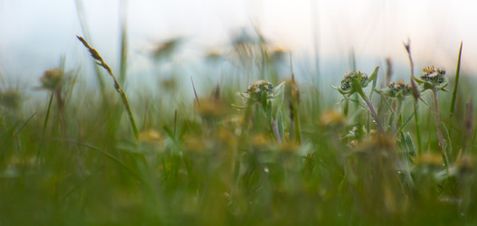 Similar image 22025757