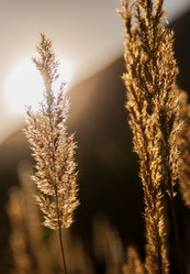 Similar image 22025758