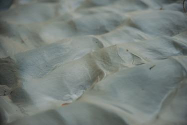 Similar image 22025759