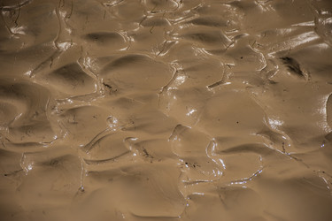 Similar image 22025761