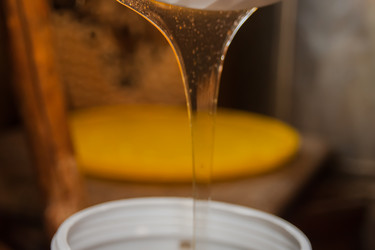 Similar image 22025762