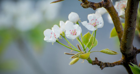 Similar image 22025763