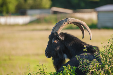 Similar image 22025767