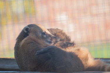 Similar image 22025768