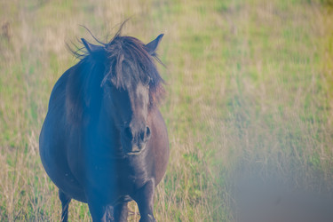 Similar image 22025770