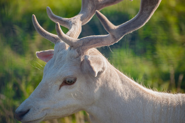 Similar image 22025771