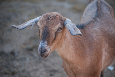 Similar image 22025772