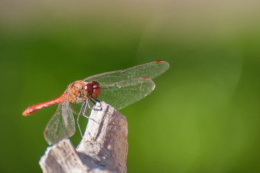 Similar image 22025773