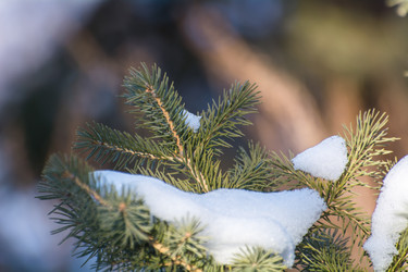 Similar image 22025776