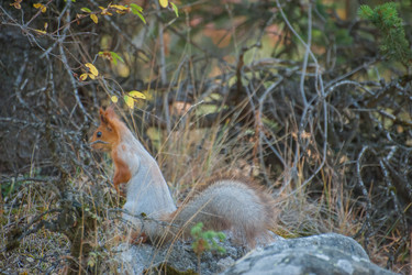 Similar image 22025778