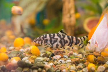 Similar image 22025781