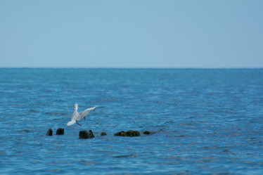 Similar image 22025787