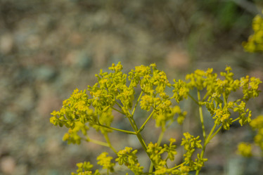 Similar image 22025791