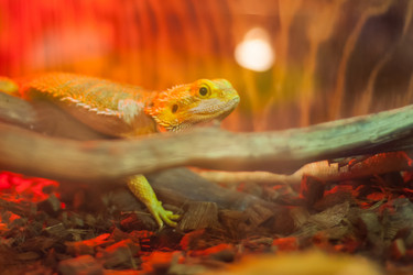 Similar image 22025793