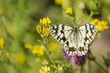 Similar image 22025794