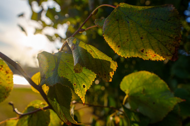 Similar image 22025233