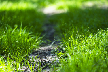 Similar image 22025291