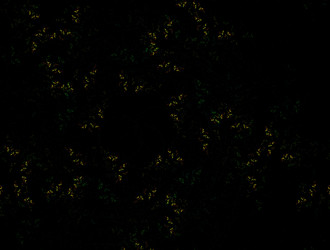 Similar image 22022208