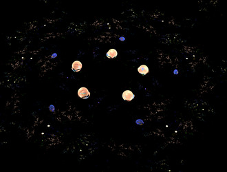 Similar image 22020227