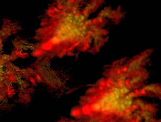 Similar image 22022636