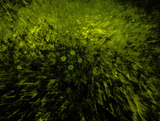 Similar image 22020128