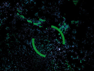 Similar image 22023207